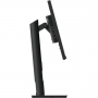 /content/products/medium/15275_3.jpg